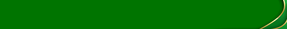 MELATIPOKER Animation